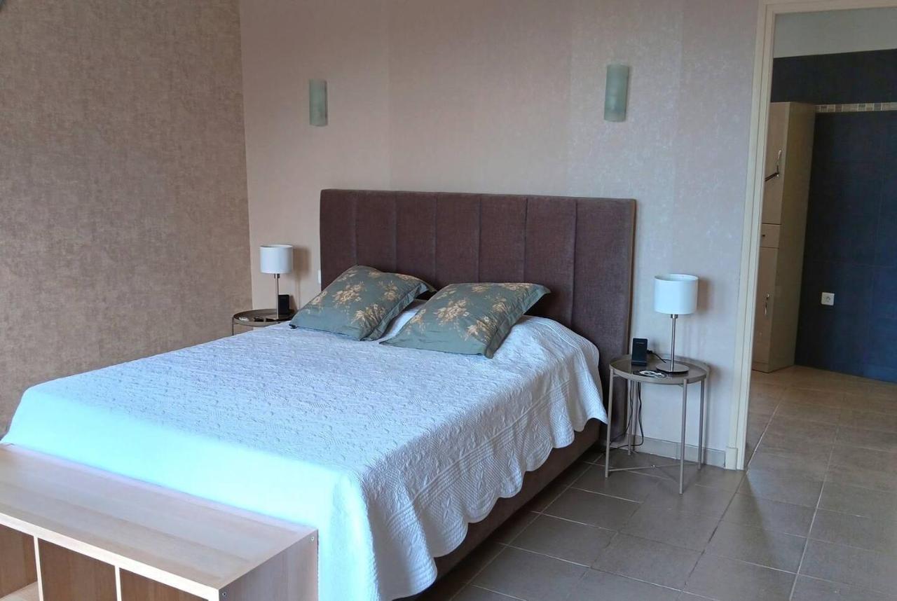 Tres Grand Appartement Lumineux Nice Dış mekan fotoğraf